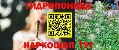2c-b Славянск-на-Кубани