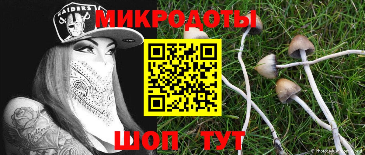 Галлюциногенные грибы Psilocybine cubensis Похвистнево